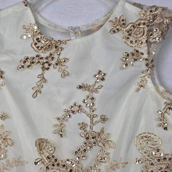 Rare Editions Girls Dress Size 8 Ivory Gold Sequin Lace Tulle Party Dress Rhines - Picture 6 of 12